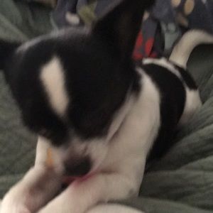 Meet your Posher, Stacy